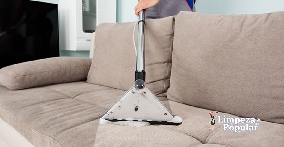 Quais são as maiores empresas de limpeza de sofá?