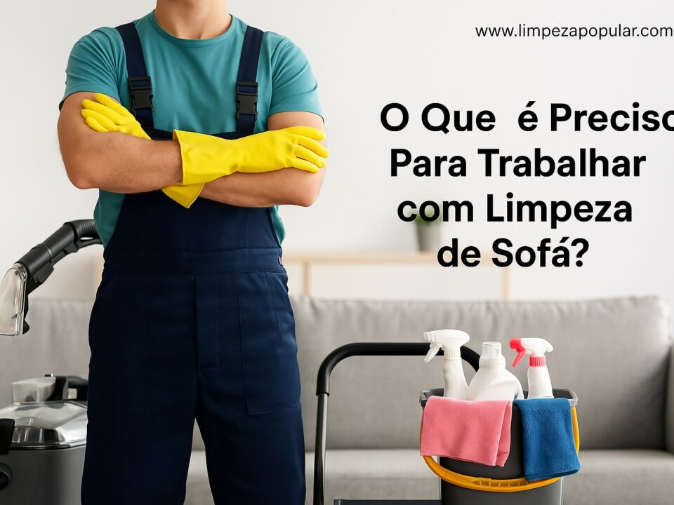 O Que é Preciso Para Trabalhar com Limpeza de Sofá?